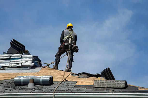 Professional Roof Replacement technician working in Pierz, MN